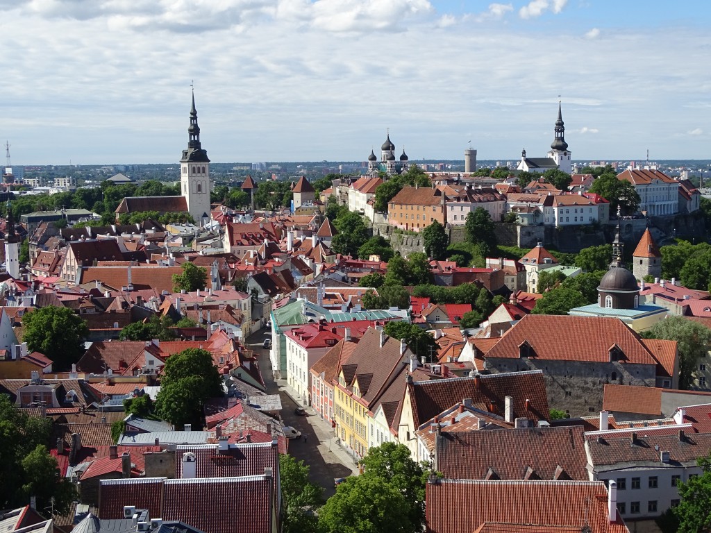 14. St. Olav view